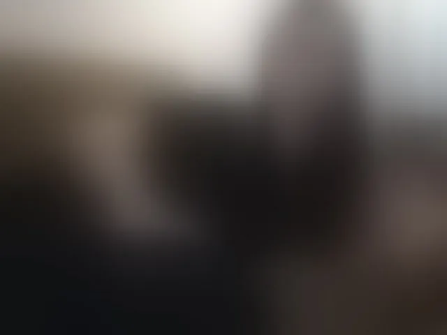 Live sex webcam photo for Mr-and-Mrs-Smith-XXL #292509996