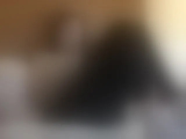 Live sex webcam photo for Mr-and-Mrs-Smith-XXL #293142837