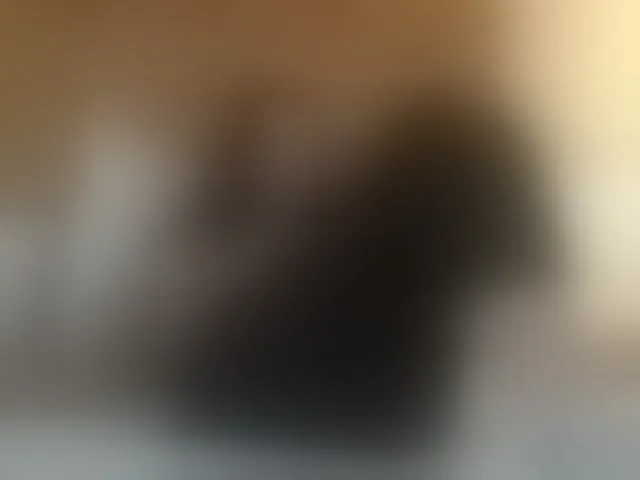 Live sex webcam photo for Mr-and-Mrs-Smith-XXL #293556117