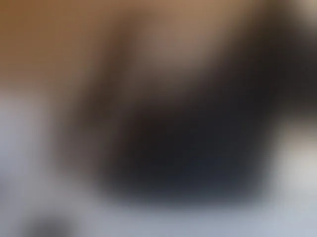 Live sex webcam photo for Mr-and-Mrs-Smith-XXL #293666270