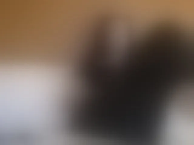 Live sex webcam photo for Mr-and-Mrs-Smith-XXL #293822823
