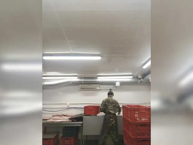 Live sex webcam photo for Mrmaloy2282 #290341794