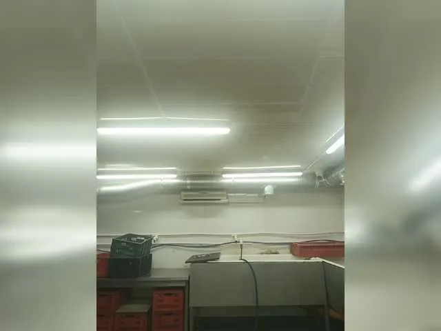 Live sex webcam photo for Mrmaloy2282 #290360498