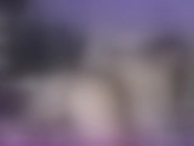 Live sex webcam photo for MrsTexMix #290962478