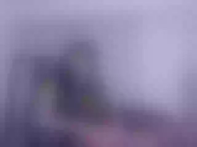 Live sex webcam photo for MsFreya #291088675