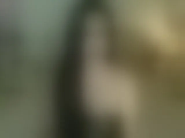 Live sex webcam photo for MsLadyCum #293508123