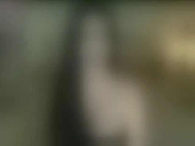 Live sex webcam photo for MsLadyCum #293759077