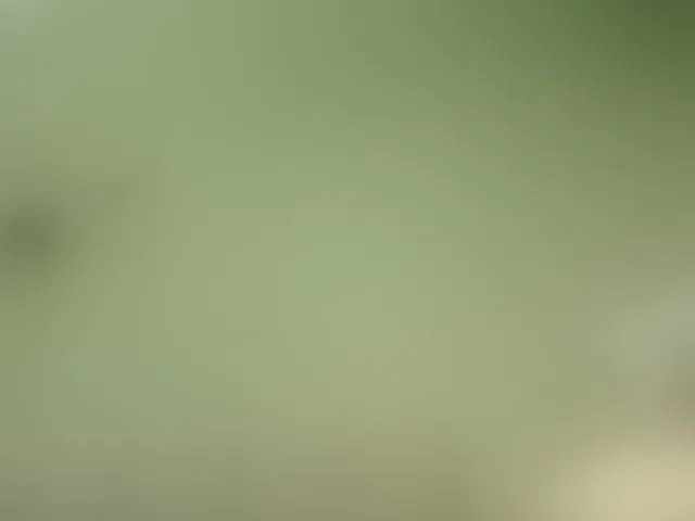 Live sex webcam photo for Mspurrfect #293645082