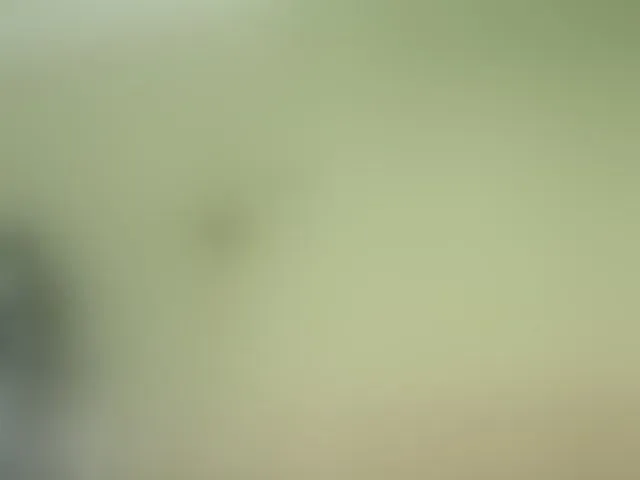 Live sex webcam photo for Mspurrfect #293693054