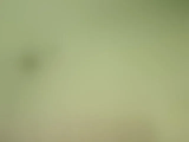 Live sex webcam photo for Mspurrfect #293707656
