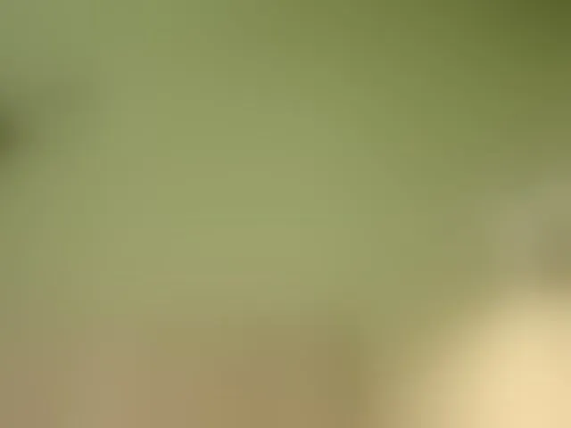 Live sex webcam photo for Mspurrfect #293975678