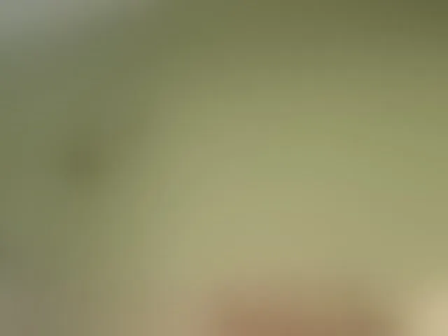 Live sex webcam photo for Mspurrfect #294014300