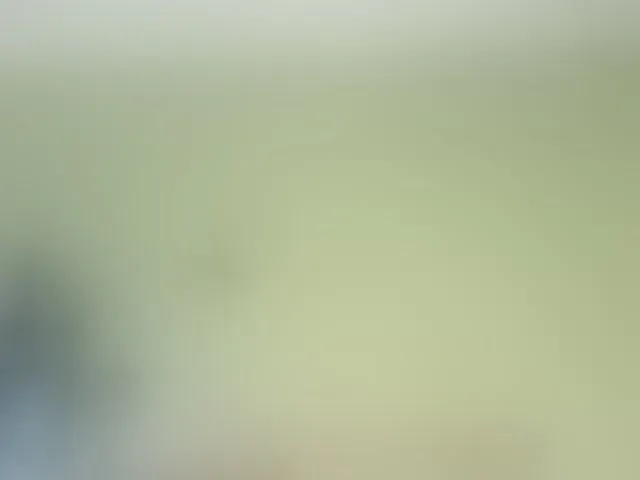 Live sex webcam photo for Mspurrfect #294065891