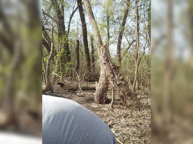 Live sex webcam photo for MultikKH #277682317