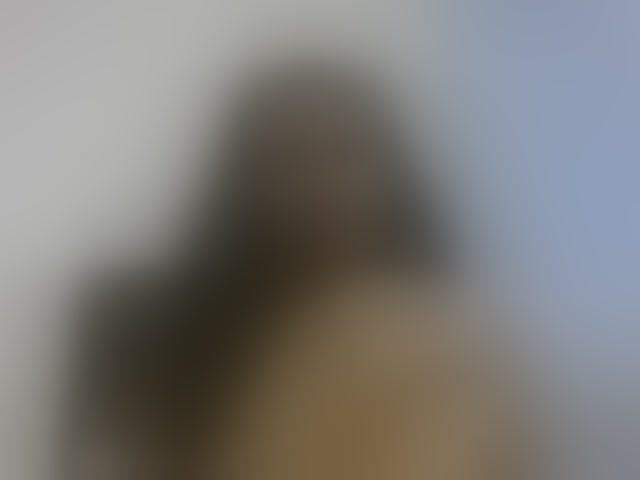 Live sex webcam photo for Murellah1a #293418628