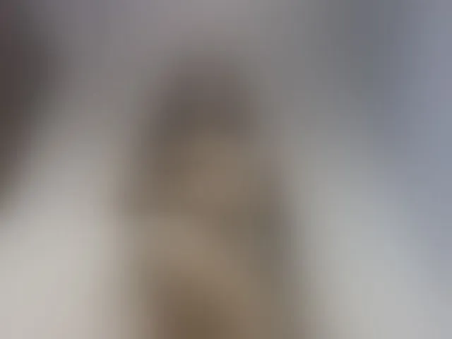 Live sex webcam photo for Murellah1a #293596663