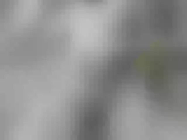 Live sex webcam photo for Mussypussy222 #275738607