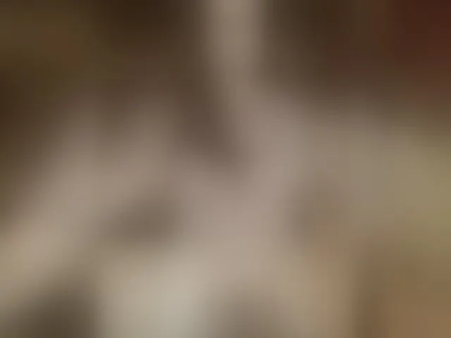 Live sex webcam photo for Mussypussy222 #276862743