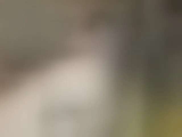 Live sex webcam photo for Mussypussy222 #276931079