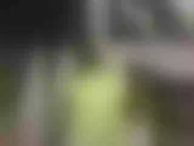 Live sex webcam photo for Mussypussy222 #292024383