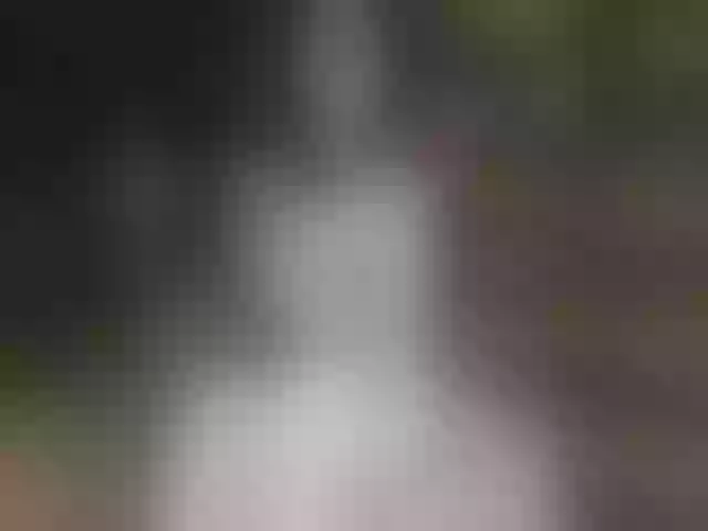Live sex webcam photo for Mussypussy222 #292138145