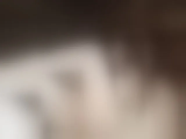 Live sex webcam photo for Mussypussy222 #292623196