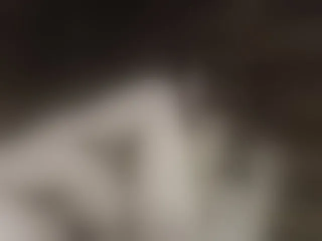 Live sex webcam photo for Mussypussy222 #292630870