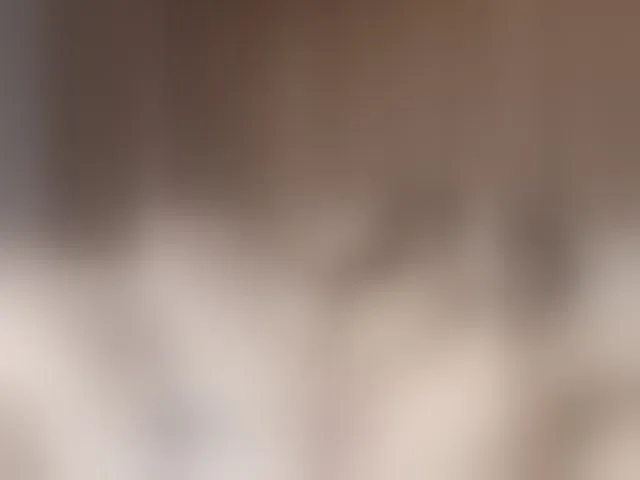 Live sex webcam photo for Mussypussy222 #292791480