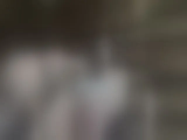 Live sex webcam photo for Mussypussy222 #293183350