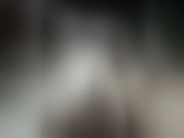 Live sex webcam photo for Mustang-23 #276296271