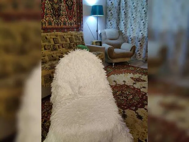 Live sex webcam photo for MyLittlegi #276815931