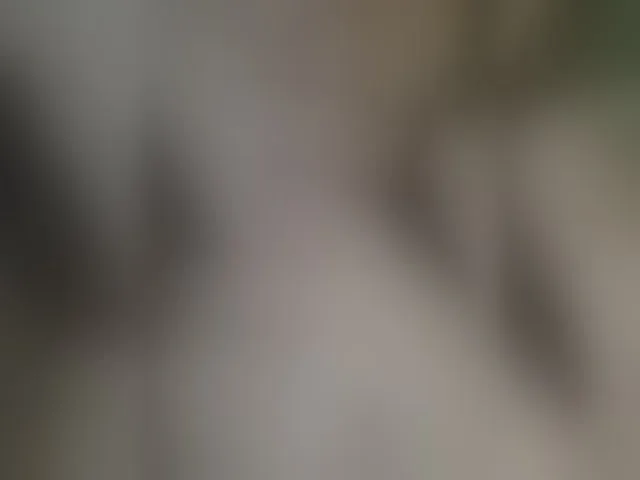 Live sex webcam photo for MyLittlegi #291967469