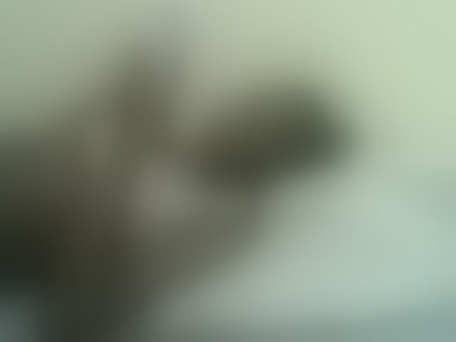 Live sex webcam photo for Mystiq-Ella #294075443