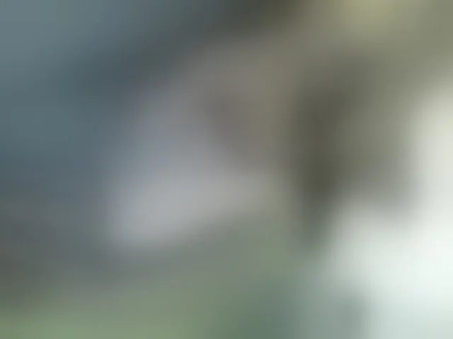 Live sex webcam photo for MystiqueMiss #293471827