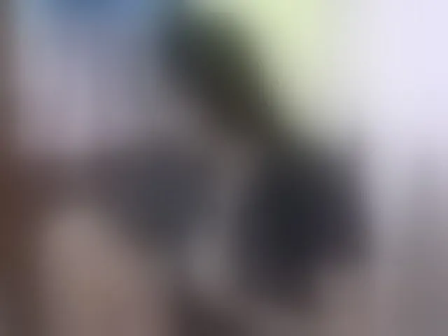 Live sex webcam photo for MystiqueMiss #293785482