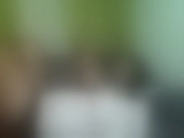Live sex webcam photo for NADIAH #293319090