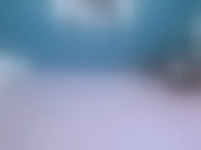 Live sex webcam photo for NADINNNE #293791457