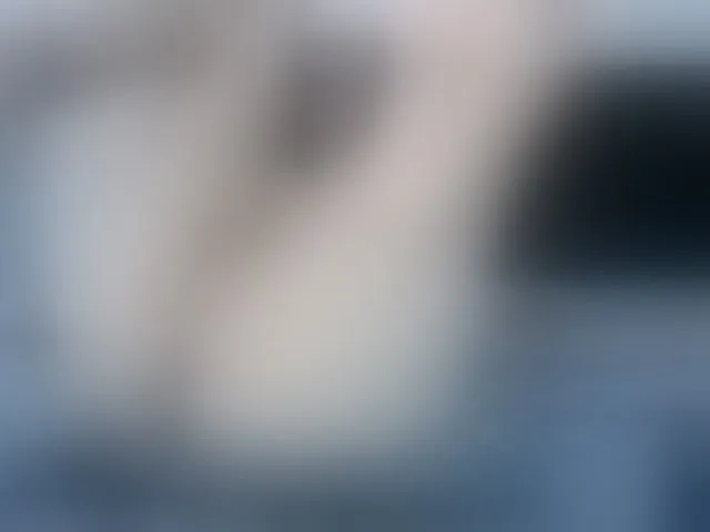 Live sex webcam photo for NATTYDOLL #292661801