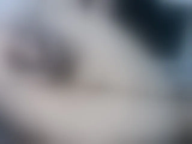 Live sex webcam photo for NATTYDOLL #292668956