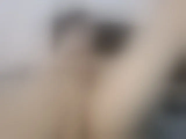 Live sex webcam photo for NATTYDOLL #292723589