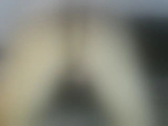 Live sex webcam photo for NATTYDOLL #293556802