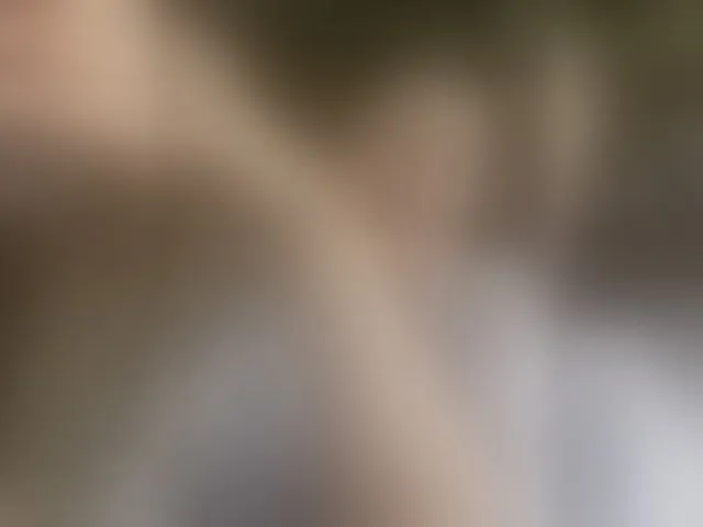 Live sex webcam photo for NERVOMOTINA #294068695
