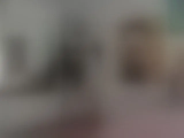 Live sex webcam photo for NNNoire #293478432
