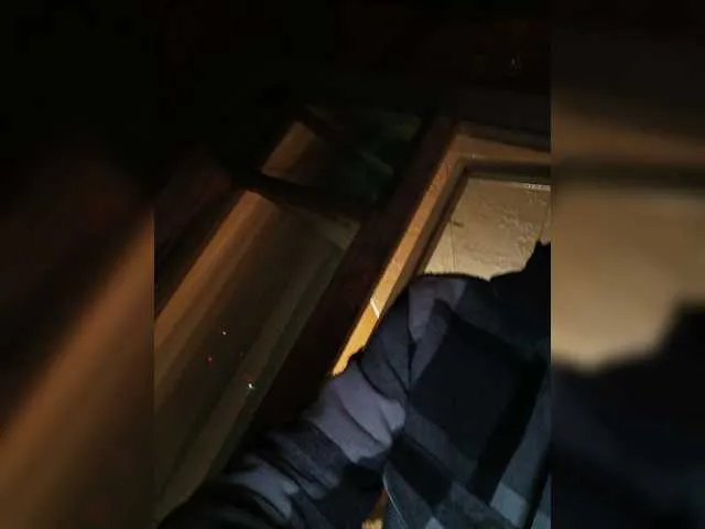 Live sex webcam photo for NPPD220 #277733549