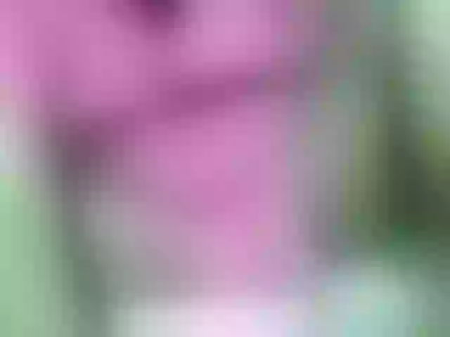 Live sex webcam photo for Nanchysine #290635693