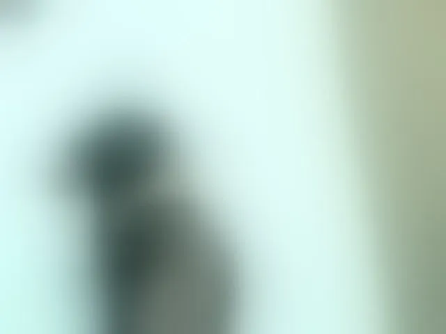 Live sex webcam photo for Naomii18 #292982569