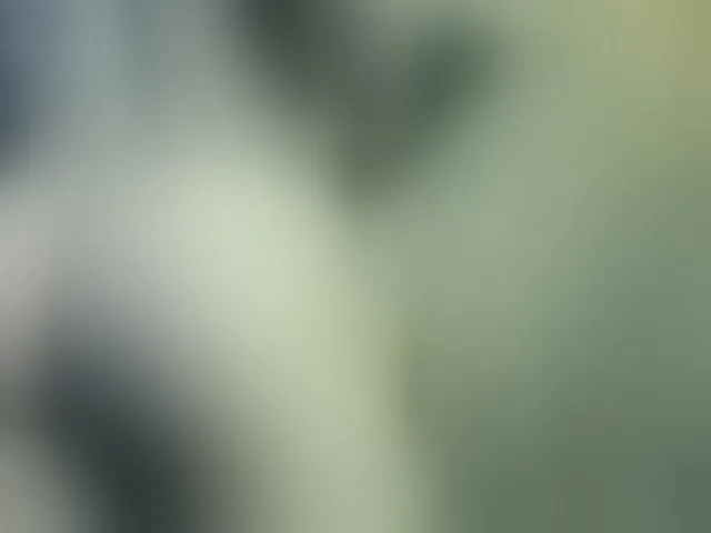 Live sex webcam photo for Naomii18 #293062967