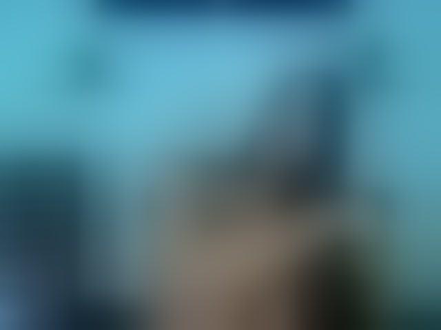 Live sex webcam photo for Nashla-D #293193522