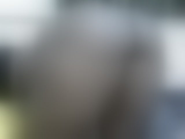 Live sex webcam photo for NastyEbony002 #294099515