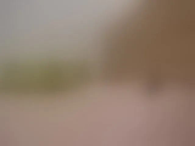 Live sex webcam photo for Nastyu-sha #293697268